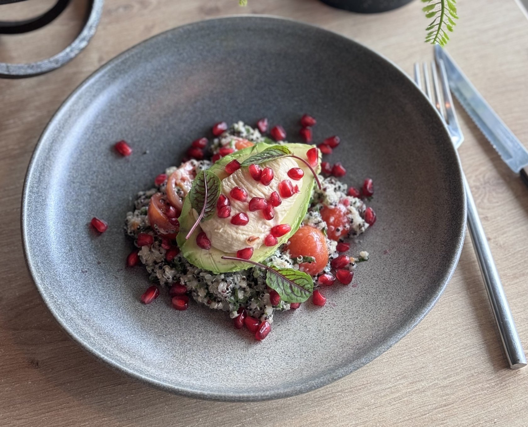 Salata vegana cu quinoa, rosii cherry, avocado, hummus, muguri de pin ( 220 g )