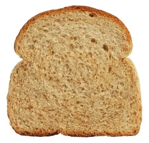 Paine 100g